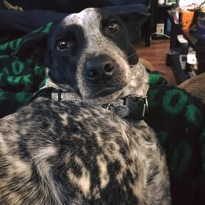 Meet your Posher, Katye